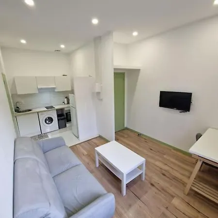 T1 Bis 1 Chambre Saint-Etienne  Buitenkant foto