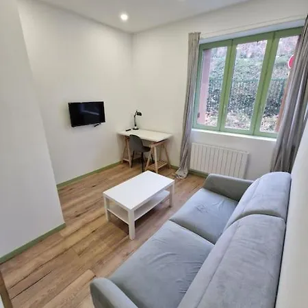 T1 Bis 1 Chambre Saint-Etienne  Buitenkant foto